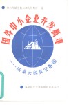 国外中小企业开发概观  加拿大和其他各国 封面