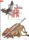 艺术人  绘画设计动物图典 封面