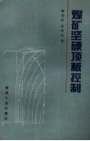 煤矿坚硬顶板控制 电子书封面