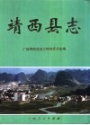 靖西县志 封面