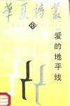 爱的地平线 封面
