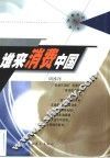 谁来消费中国 封面