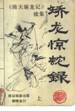 矫龙惊蛇录 封面