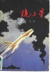 桅上星 封面