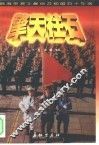 擎天柱石 封面