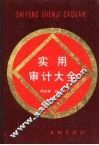 实用审计大全  上 封面