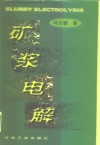 矿浆电解 封面
