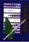 分子植物病理学 封面