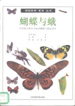 蝴蝶与蛾  图集 封面
