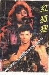 红狐狸 封面