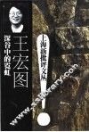 深谷中的霓虹 封面