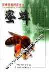 蜜蜂 封面