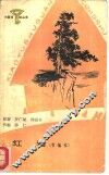 红岩  节编本 封面