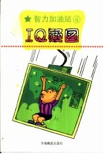 IQ疑图 封面