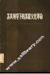 苏共领导下的苏联文化革命 封面