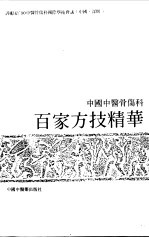 中国中医骨伤科百家方技精华 封面