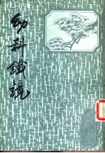 幼科铁镜 封面