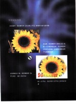 影像处理就是这么简单  第3章  向日葵 封面