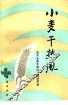 小麦干热风 封面