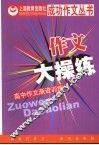 作文大操练：高中作文渐进训练 封面