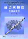 磁约束聚变原理与实践 封面