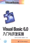 Visual Basic 6.0入门与开发实例 封面