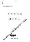 世界三大宗教文化博览  基督教文化 封面