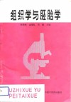 组织学与胚胎学 封面