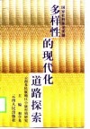 多样性的现代化道路探索 云南多民族地区小康村镇研究 封面
