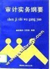 审计实务纲要 封面