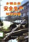 乡镇企业安全生产知识问答 封面