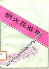钢火花鉴别 封面