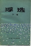 浮选 纪念A.M.高登文集 下 封面