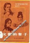 文豪的妻子 封面