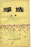 浮选 纪念A.M.高登文集 上 封面