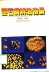 胆石病辨治秘录 封面