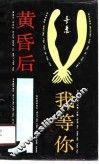 黄昏后我等你 封面