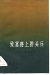 致富路上排头兵 封面