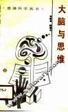 大脑与思维 封面