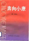 奔向小康  湖北省千万元村经济和社会发展调查 封面