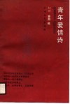 青年爱情诗 封面