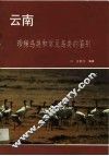 云南珍稀鸟类和常见鸟类的鉴别 封面