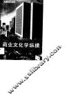 商业文化学纵横 封面