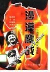 沙漠鏖战  第二次世界大战中的非洲战场纪实 封面