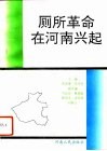 厕所革命在河南兴起 封面