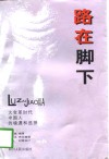 路在脚下  大变革时代中国人的境遇和选择 封面