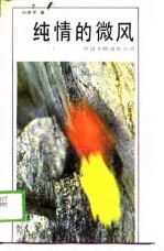 纯情的微风 封面