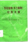 有花植物  木兰植物  分类大纲 封面