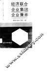 经济联合企业集团企业兼并 封面