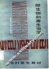 微生物和寄生虫学 封面